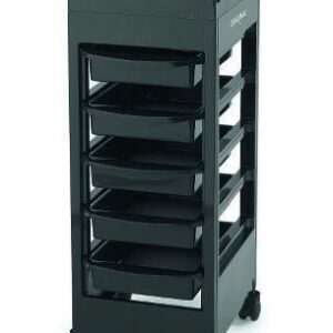 Original Best Buy Black E Trolley