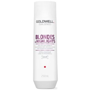 Goldwell DualSenses Blondes & Highlights Shampoo (250ml)