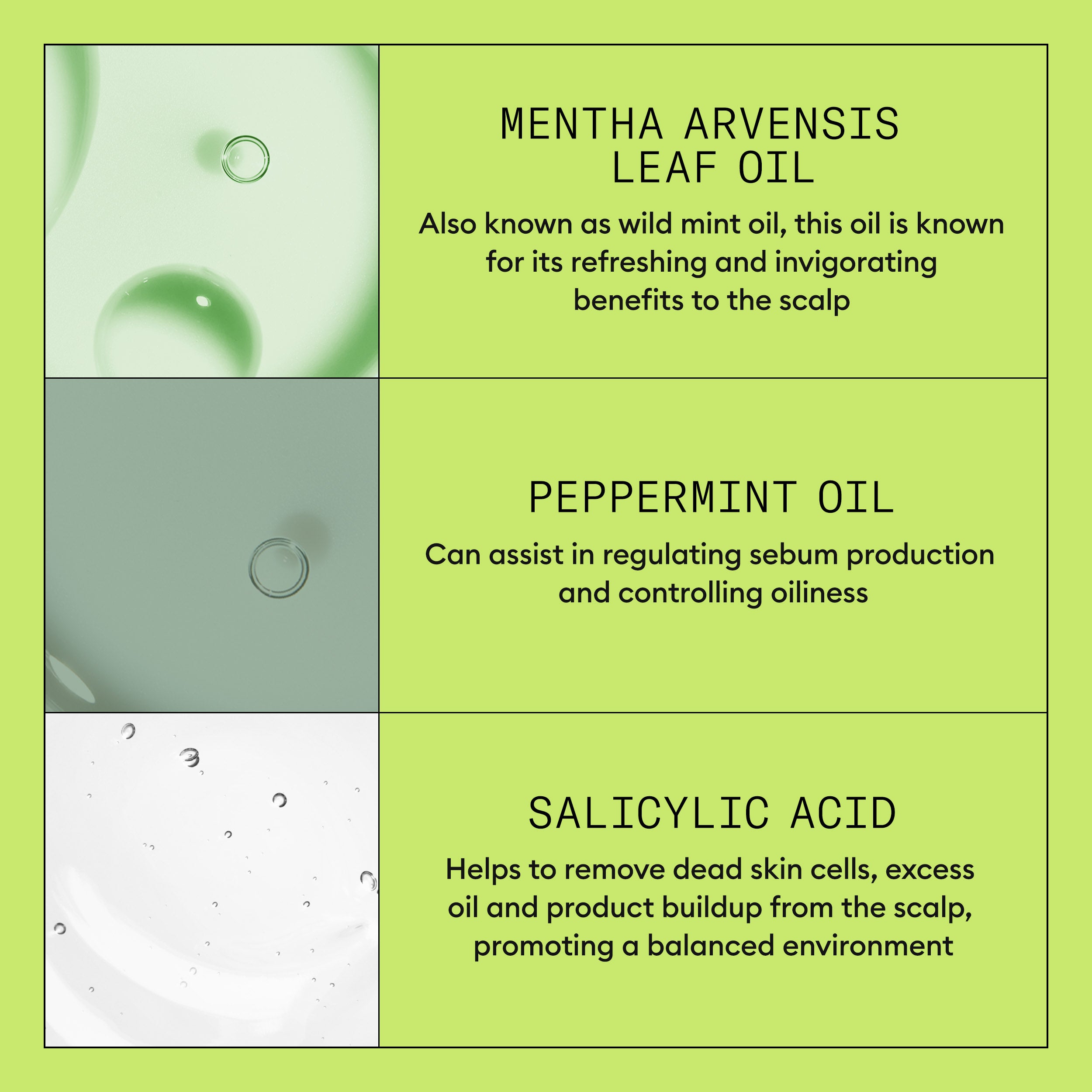 Nioxin Hair System Kit 2 - Image 4